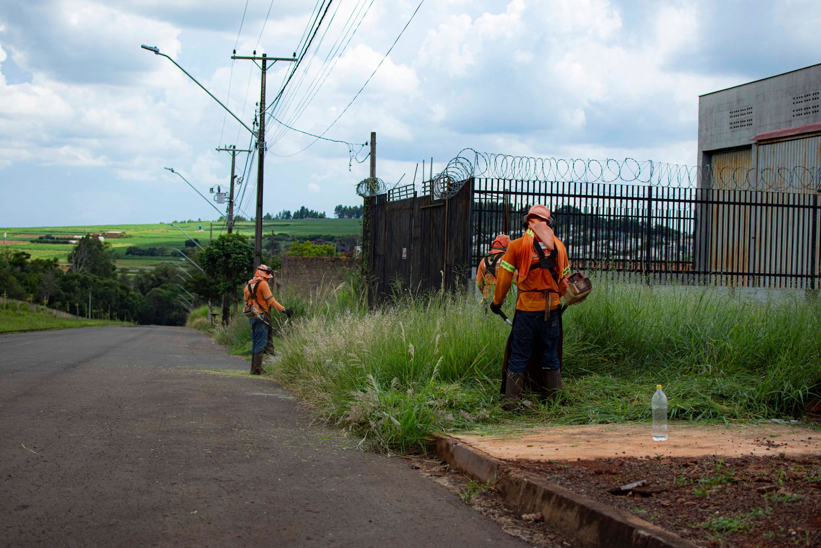 Grounds crew clearing overgrown vegetation along a roadside verge with a brush cutter